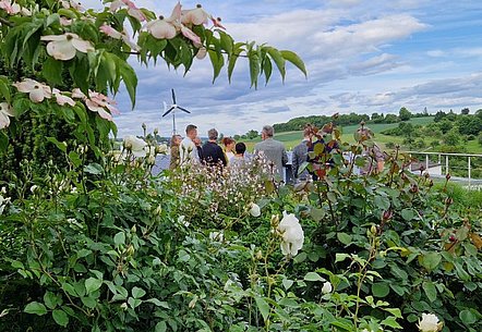 Grün so weit das Auge reicht