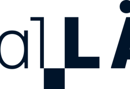 Digitalisierungsstrategie digital.Länd
