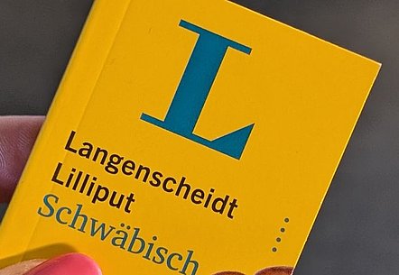 Langenscheidt Lilliput Schwäbisch