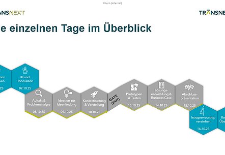 Ablauf von TransNEXT in 2025